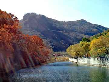 新澳天天开奖资料大全旅游团，芫芬乡村农庄